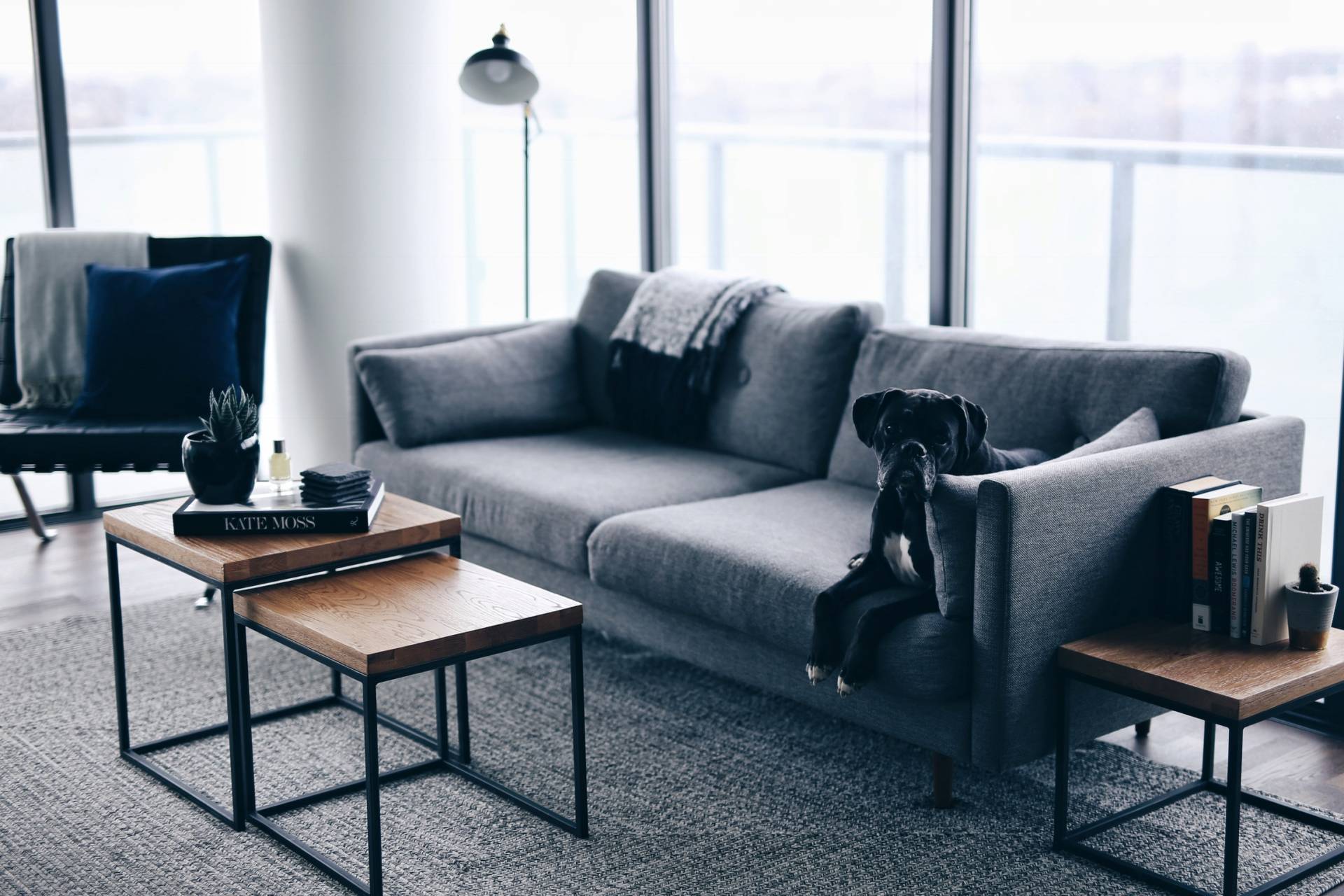 Durable Rug For Living Room With Dog Durable Rug For Living Room With Dog